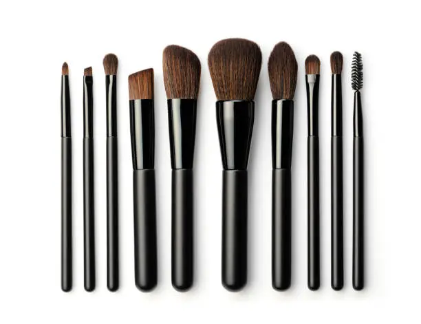 Top 10 Must-Have Makeup Brushes for Beginners